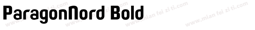 ParagonNord Bold字体转换
